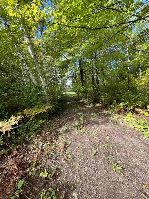 3.97 Acres Lavaque Bypass, Hermantown, MN 55811