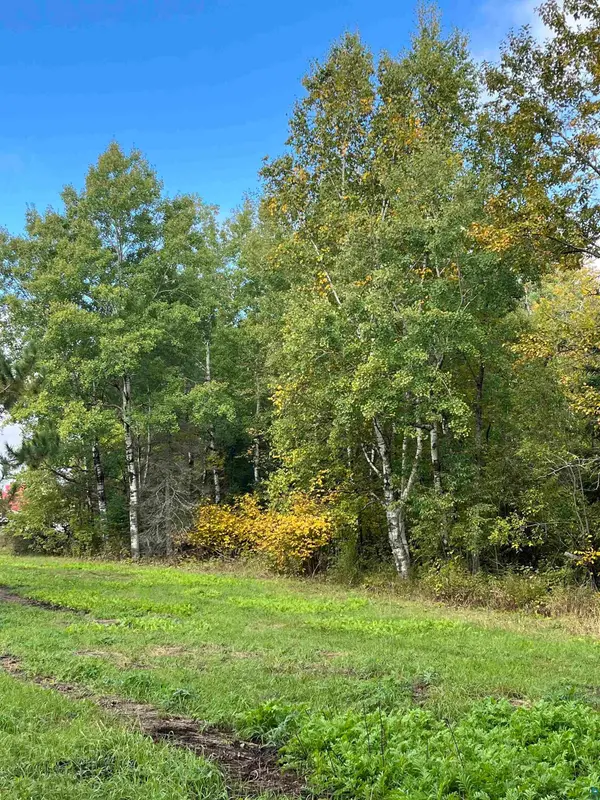 3.97 Acres Lavaque Bypass, Hermantown, MN 55811