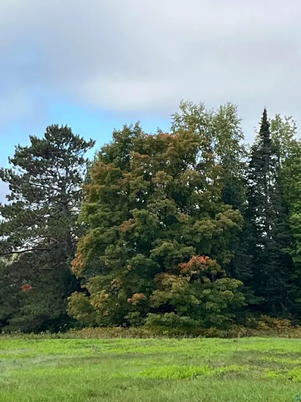 3.97 Acres Lavaque Bypass, Hermantown, MN 55811