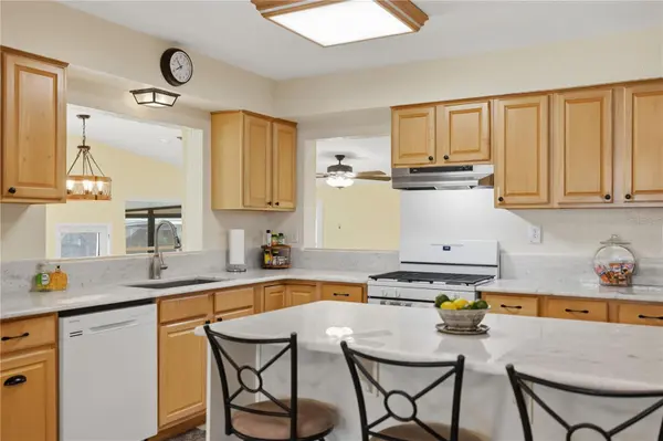 2314 N GRIFFIN DR, Leesburg, FL 34748