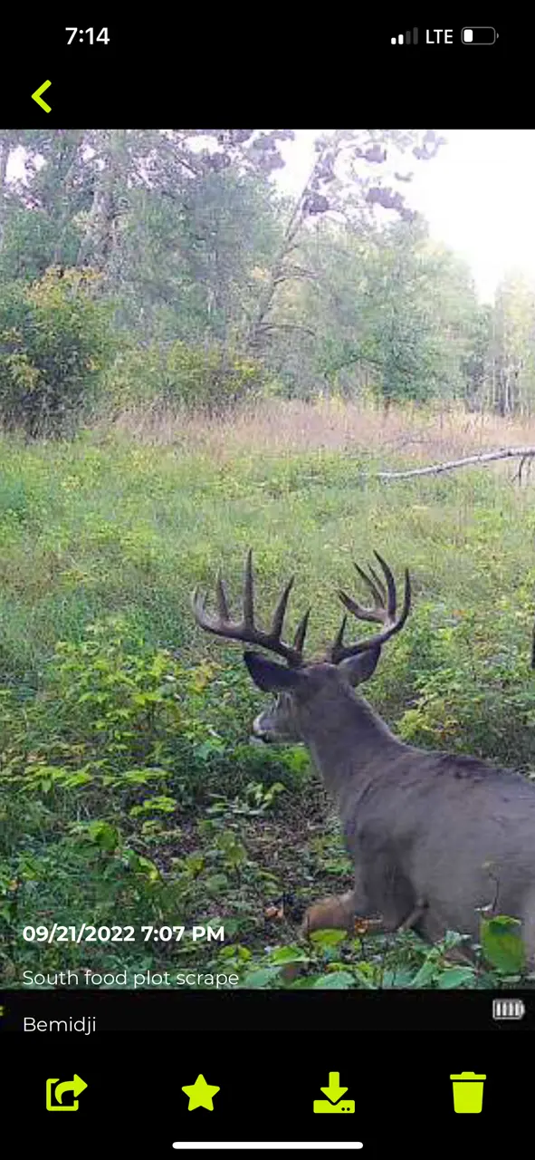 TBD 15th ST NW, Bemidji, MN 56601