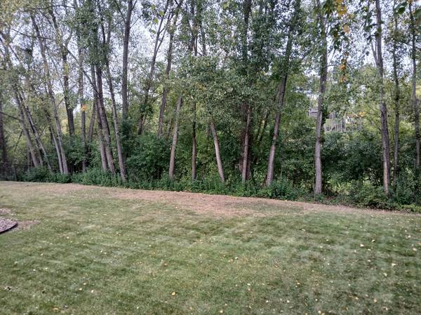 9040 Parkside DR, Woodbury, MN 55125