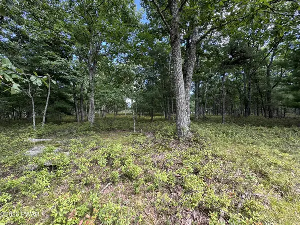 LOT 45&46 Maplewood CT, Hawley, PA 18428