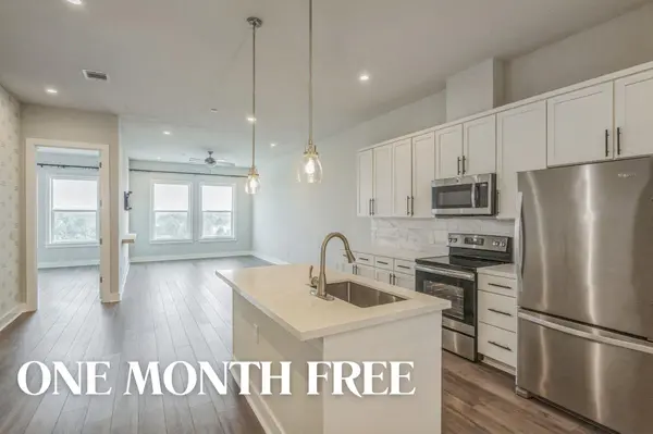 4507 E Martin Luther King Jr BLVD #133, Austin, TX 78721