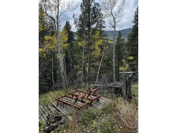 190 Blue Bell, Idaho Springs, CO 80452
