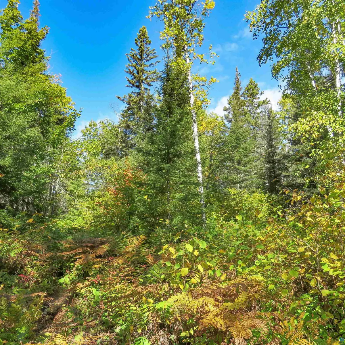 435 Cramer Rd, Schroeder, MN 55614
