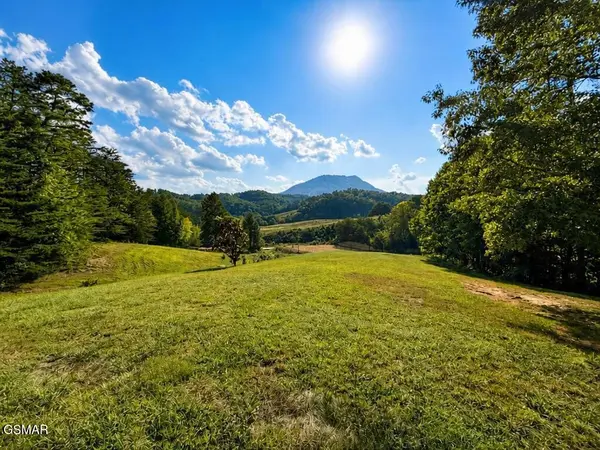 1341 Goose Gap Road, Sevierville, TN 37876