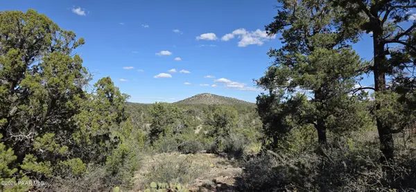 363 & 364 Big View, Ash Fork, AZ 86320