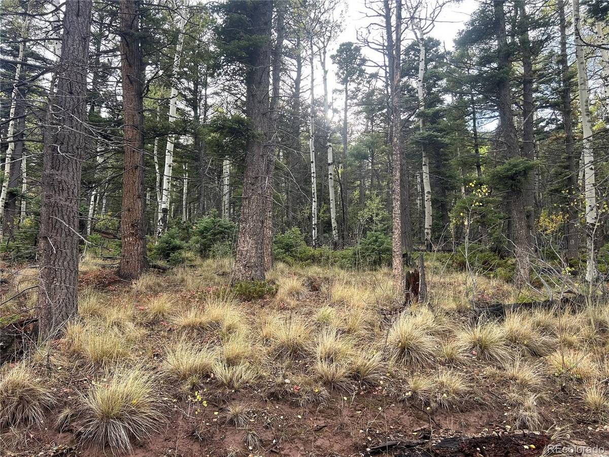 2954 LARRY, Fort Garland, CO 81133
