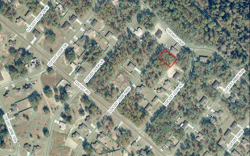 LOCUS LOOP PASS, Ocklawaha, FL 32179