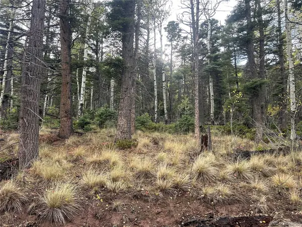 2954 LARRY, Fort Garland, CO 81133