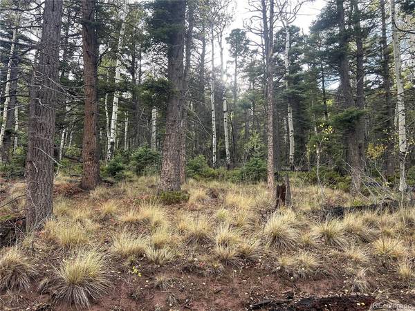 2954 LARRY, Fort Garland, CO 81133