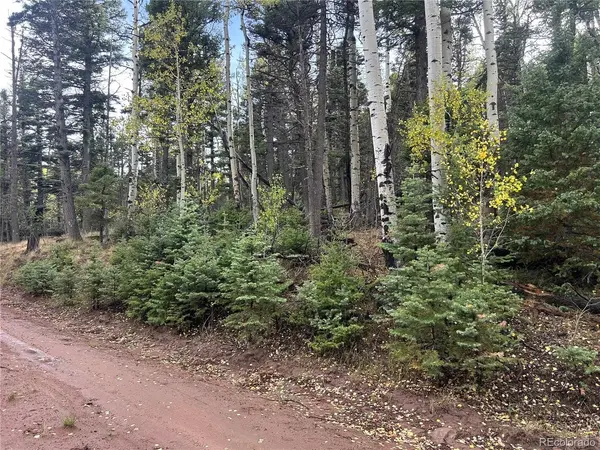 2954 LARRY, Fort Garland, CO 81133