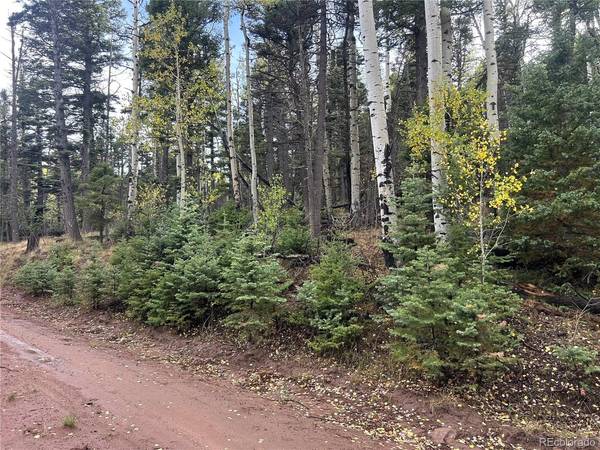 2954 LARRY, Fort Garland, CO 81133