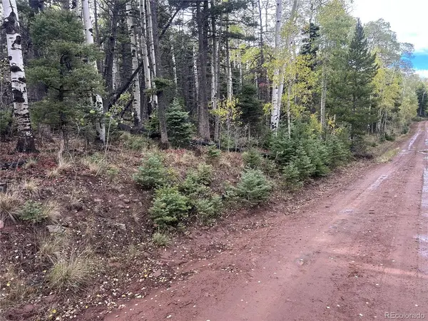 2954 LARRY, Fort Garland, CO 81133