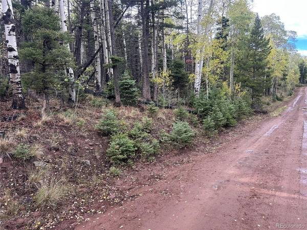 2954 LARRY, Fort Garland, CO 81133