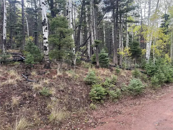 2954 LARRY, Fort Garland, CO 81133