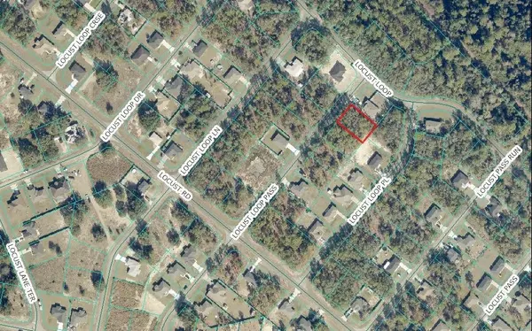 LOCUS LOOP PASS, Ocklawaha, FL 32179
