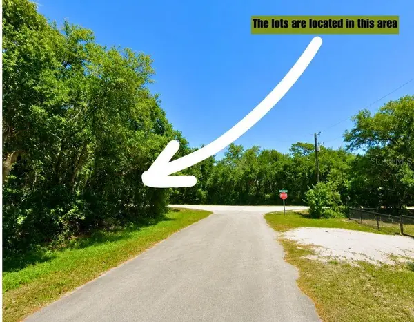 466 FLETCHER AVE, Lake Placid, FL 33852