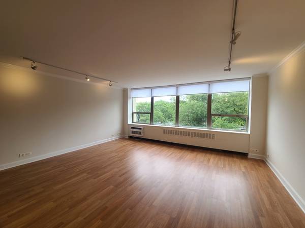 1360 N Sandburg TER #410, Chicago, IL 60610