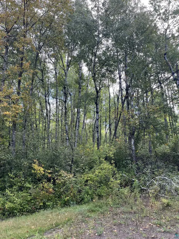 4.44 Acres Lavaque Bypass, Hermantown, MN 55811