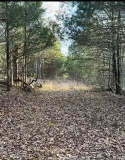 14 & 15 Treasure Point, Lampe, MO 65681