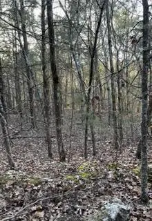 14 & 15 Treasure Point, Lampe, MO 65681
