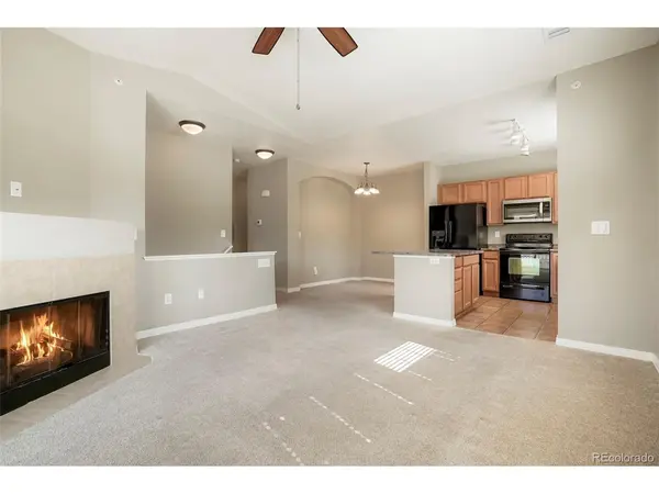 9479 Ashbury #203, Parker, CO 80134