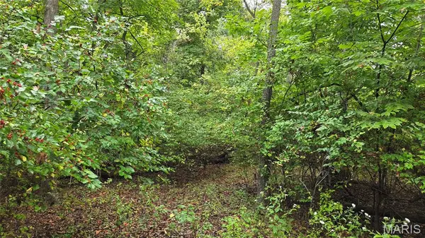 112 Hunters Hollow LN, Foley, MO 63347