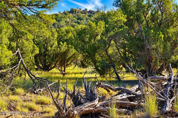 Lot 1060 N Dallas DR, Seligman, AZ 86337