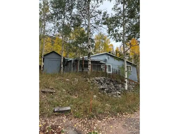 6311 US Highway 40, Empire, CO 80438