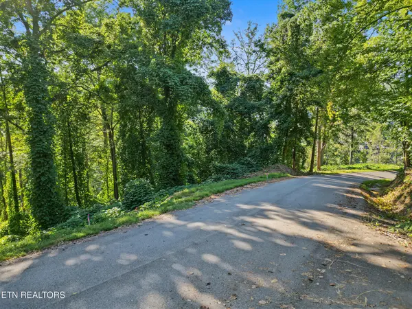 14 Davenport Rd, Gatlinburg, TN 37738
