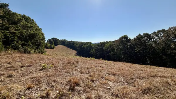 9479 State Highway 176, Walnut Shade, MO 65771