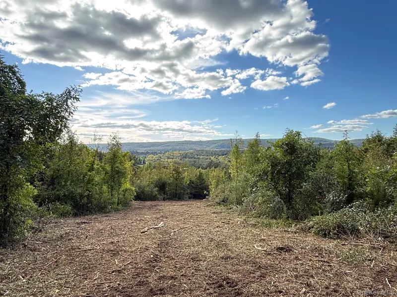 Lot # 11 Westerly Ridge DR, Amenia, NY 12501