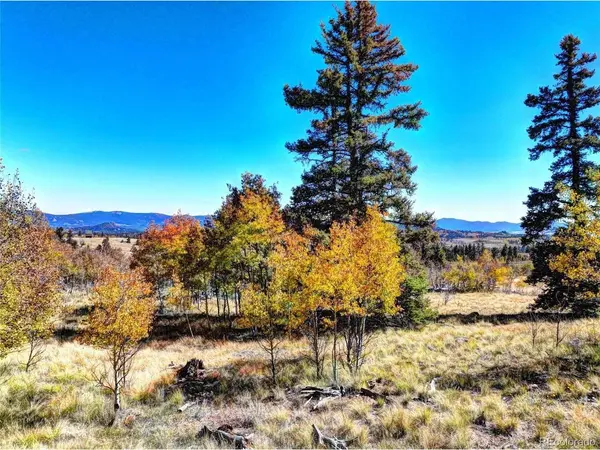 74 Antelope, Como, CO 80456