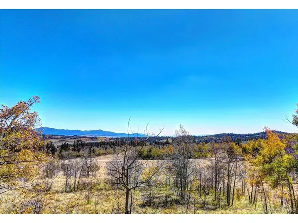 74 Antelope, Como, CO 80456