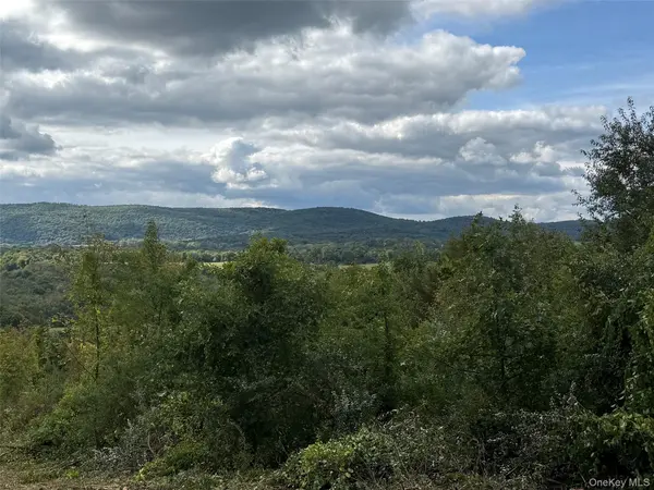 Lot # 11 Westerly Ridge DR, Amenia, NY 12501