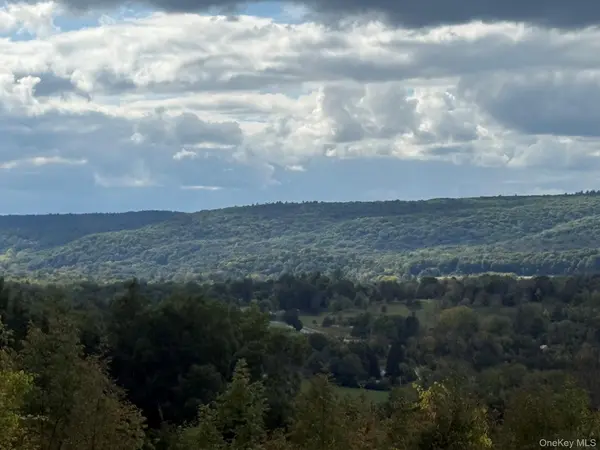 Lot # 11 Westerly Ridge DR, Amenia, NY 12501