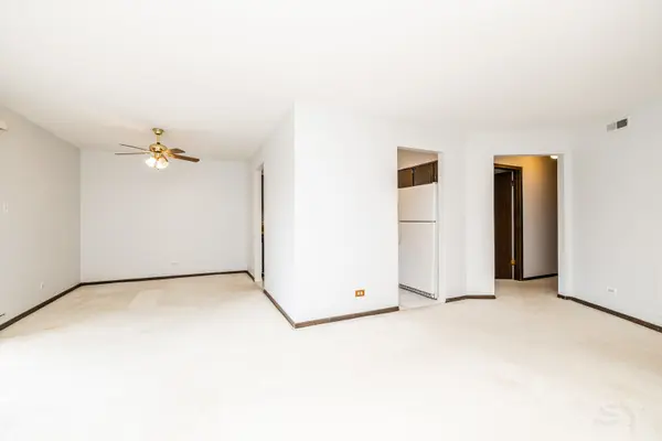 1717 Lakecliffe DR #C, Wheaton, IL 60189