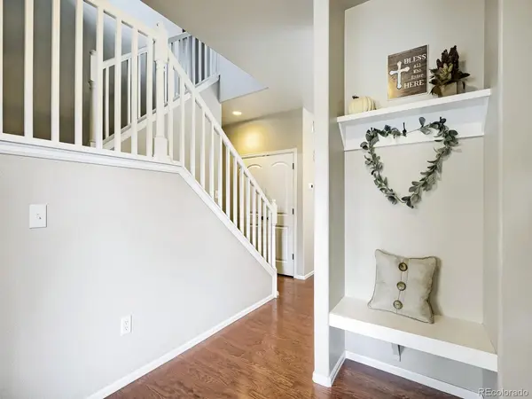518 Lowland, Severance, CO 80550