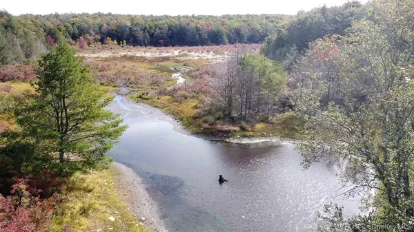 Seeman RD, Neversink, NY 12765