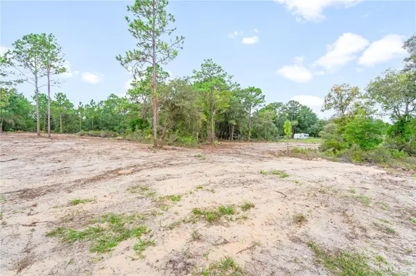 000 NE HWY 27 ALT, Williston, FL 32696