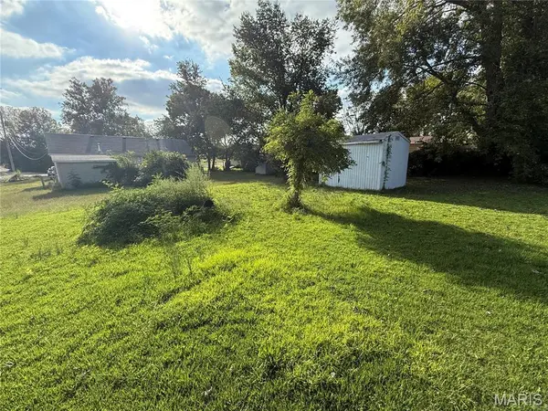 1229 E Karsch BLVD, Farmington, MO 63640