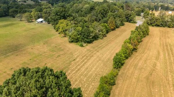 1 Osburn Rd, Arrington, TN 37014