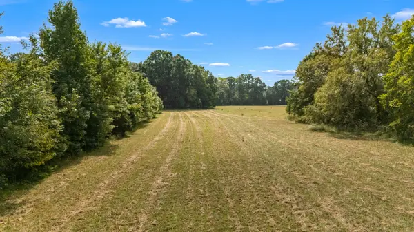 3 Osburn Rd, Arrington, TN 37014