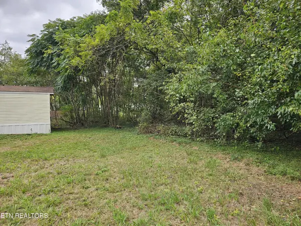 627 W Strang St, Rockwood, TN 37854