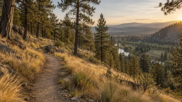 11615 S Elk Run Ln, Spokane, WA 99224