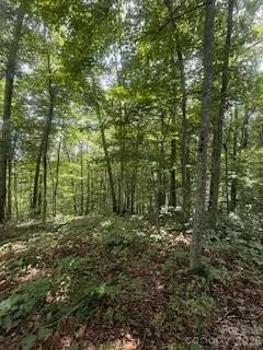 22 Signature Row BLVD, Waynesville, NC 28785