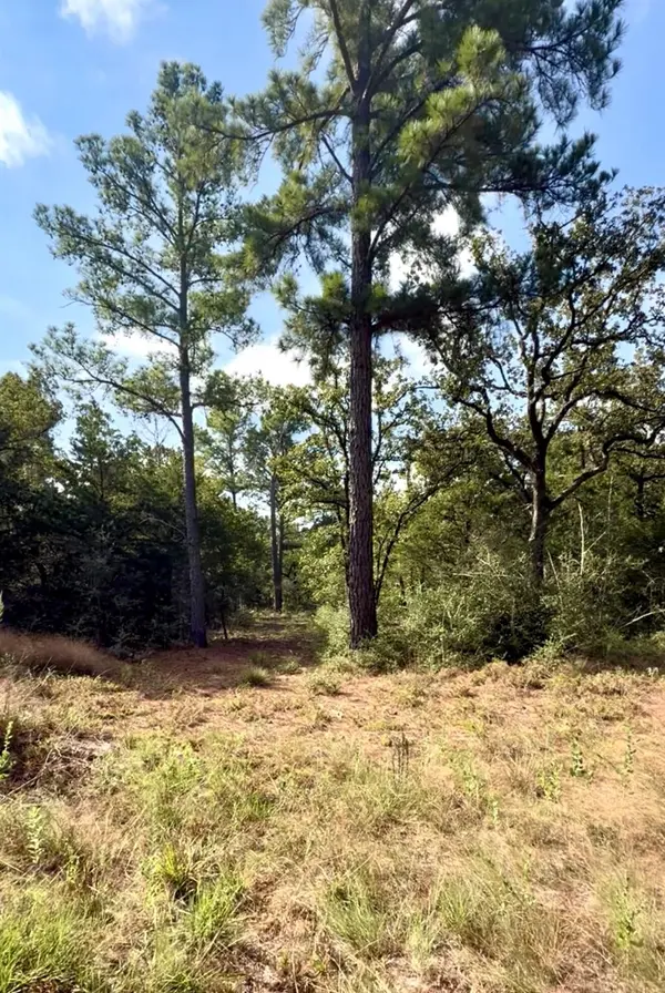 TBD Marlin ST, Mcdade, TX 78650