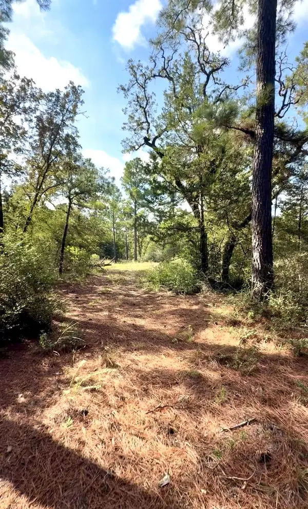 TBD Marlin ST, Mcdade, TX 78650